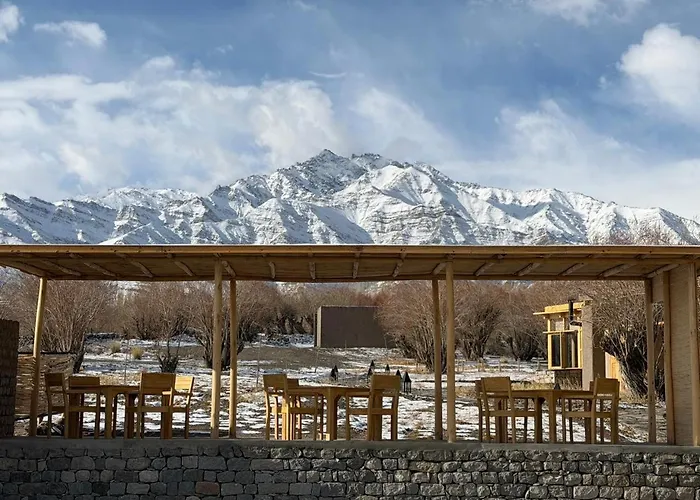 The Postcard In The Himalayan Willows, Stok, Leh